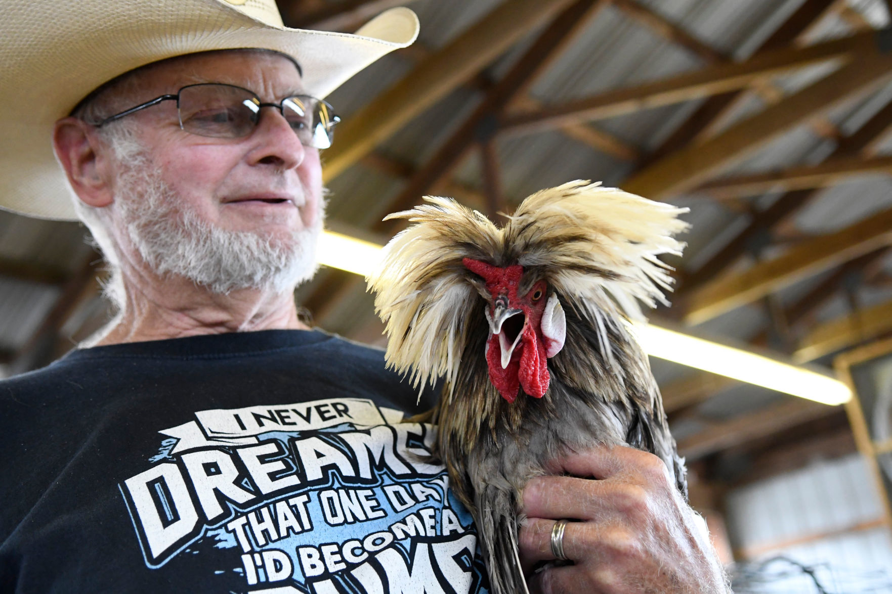Prized poultry